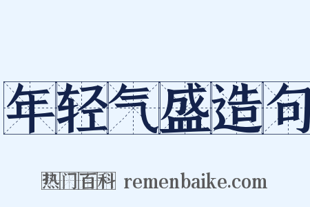 年轻气盛造句是什么意思的图片